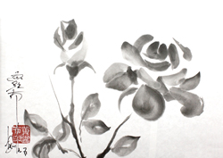 1977-rosa-roja