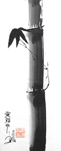 1978-bambu