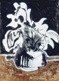 1980-maceta