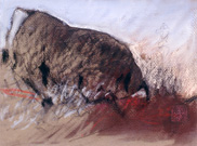 1989-toro