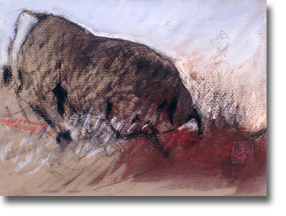 3n1989toro