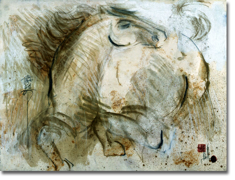5c1997caballofina