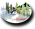 Paisaje