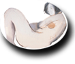 Desnudo