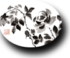 Sumi-E